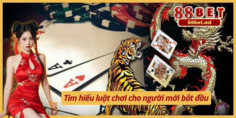 Điểm Mặt Các Kỹ Thuật Chơi Rồng Hổ Đỉnh Cao Hàng Đầu 4 Kỹ thuật chơi Rồng Hổ và luật chơi cơ bản